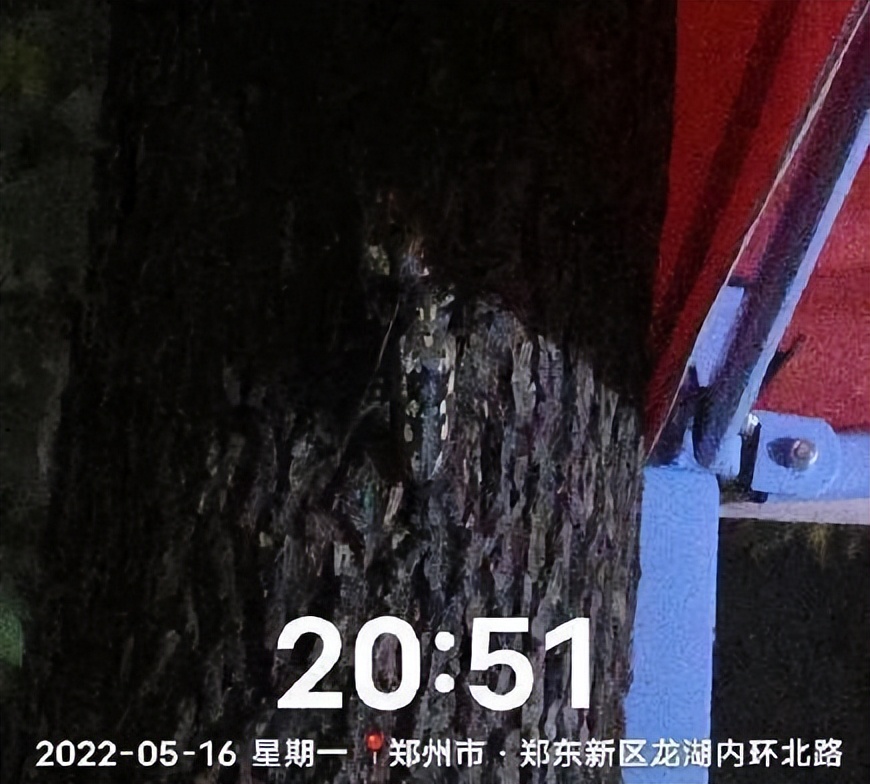 12月份园林绿化养护工作重点,元月份园林养护重点工作