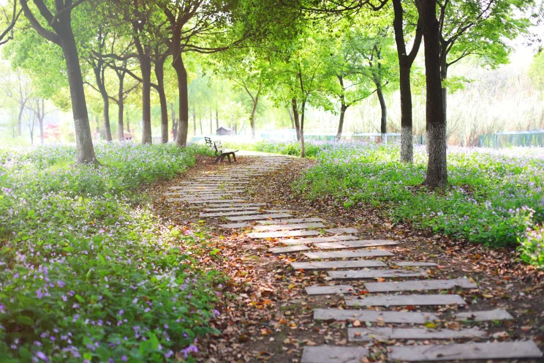 春来夏往，秋收冬藏，带你感受沙家浜的四季，别错过身边的美好