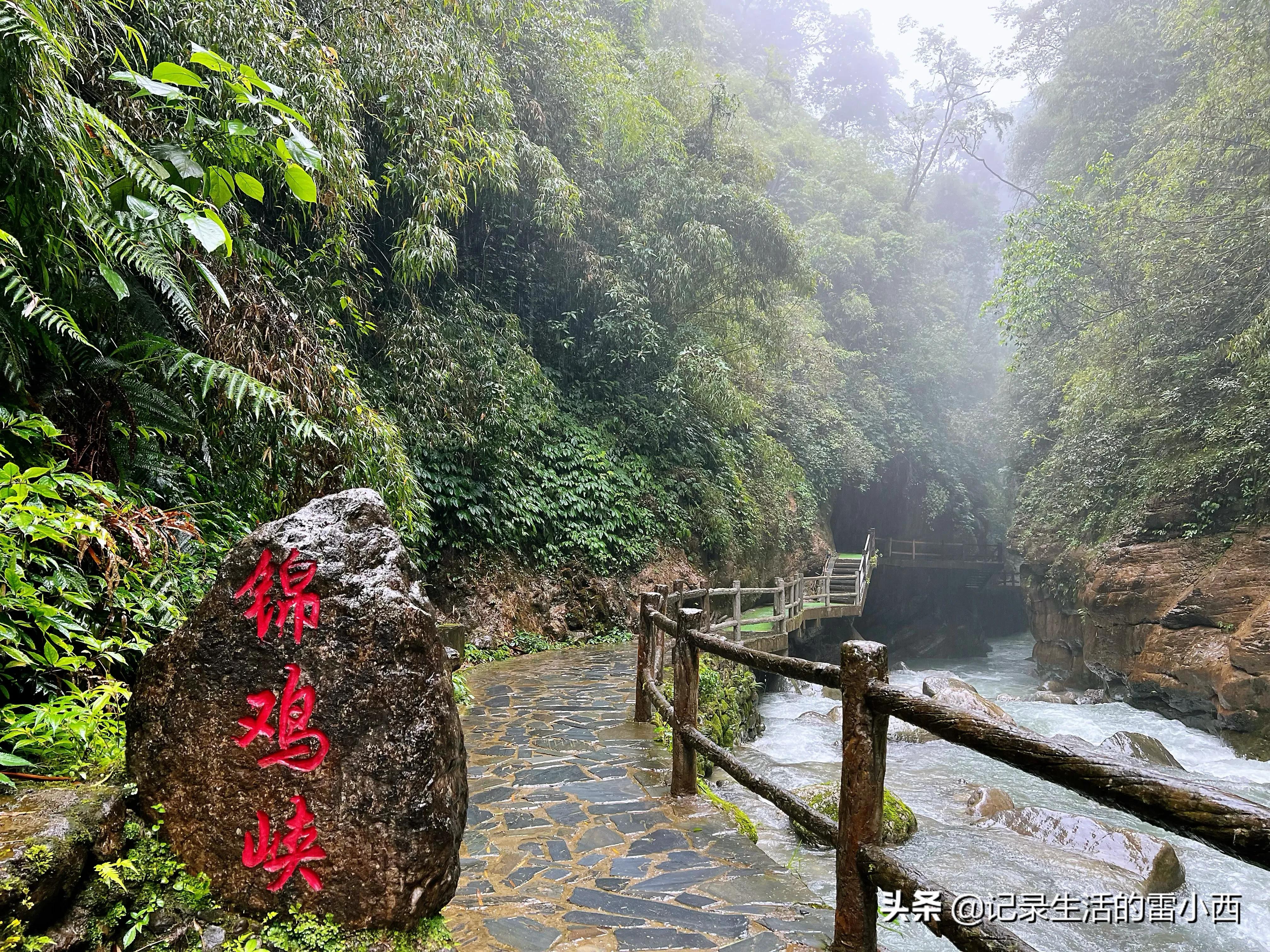 重庆到黑山谷景区怎么坐车,重庆黑山谷自驾游一天