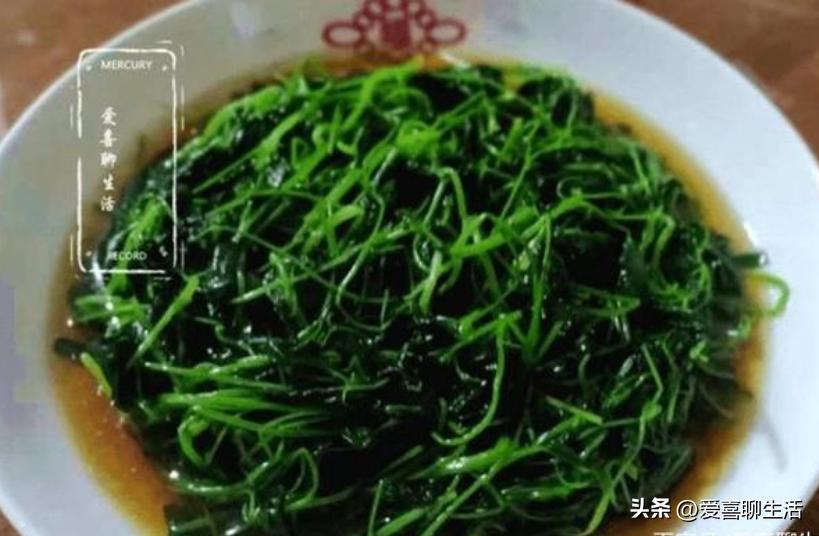 明日立春要“咬春”，春季“6鲜”别忘记咬，助您精神抖擞迎春天