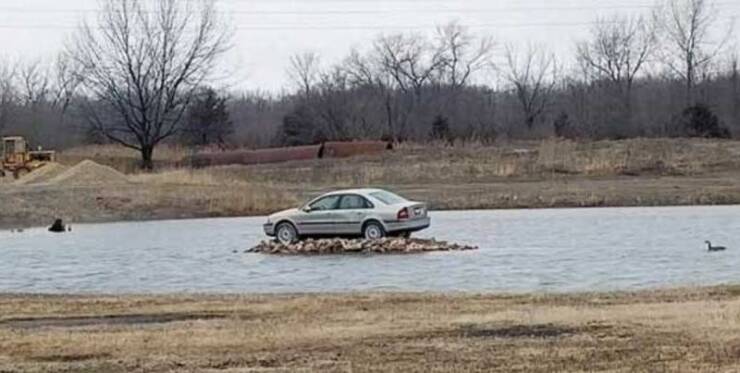 78个真实有趣的照片：山顶的足球场，老树与佛像，老司机脸部皮肤