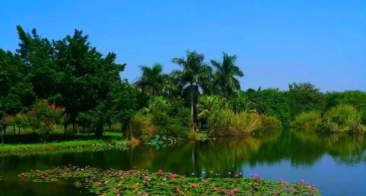 探秘广东河源万绿湖：暴雨洗礼后的生态奇观