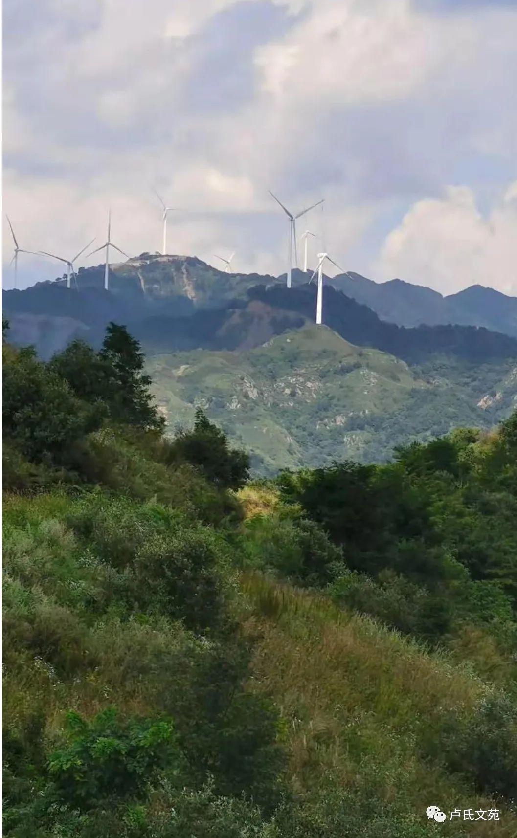 秦时明月神秘之塔,秦时明月黑白玄窟