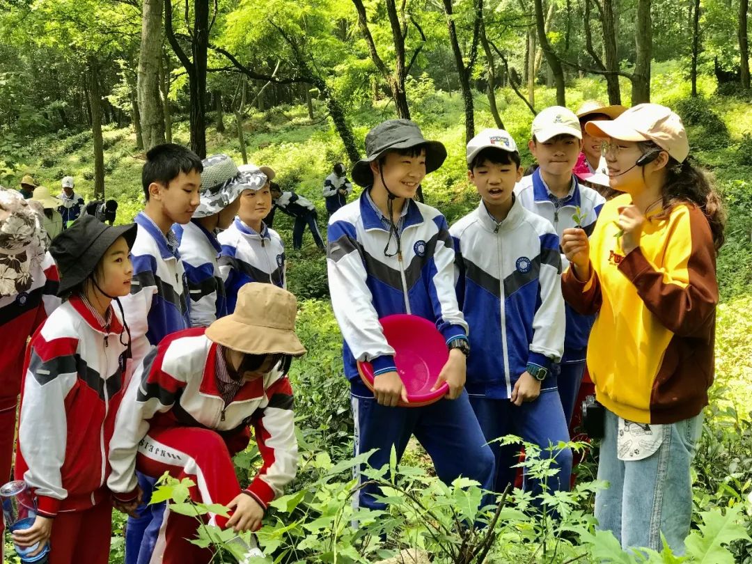 南京实验国际学校,遇见合适的你