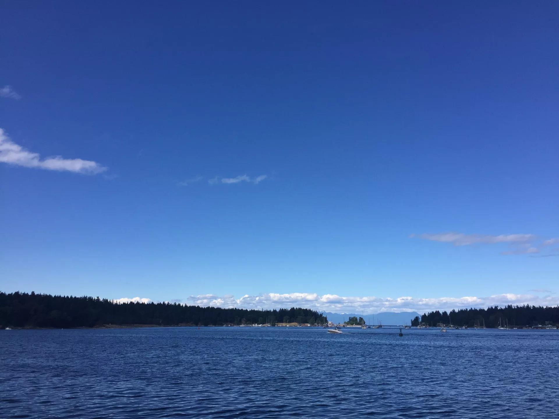 青岛如何带上猫猫去加拿大多伦多,钱猫猫加拿大之旅