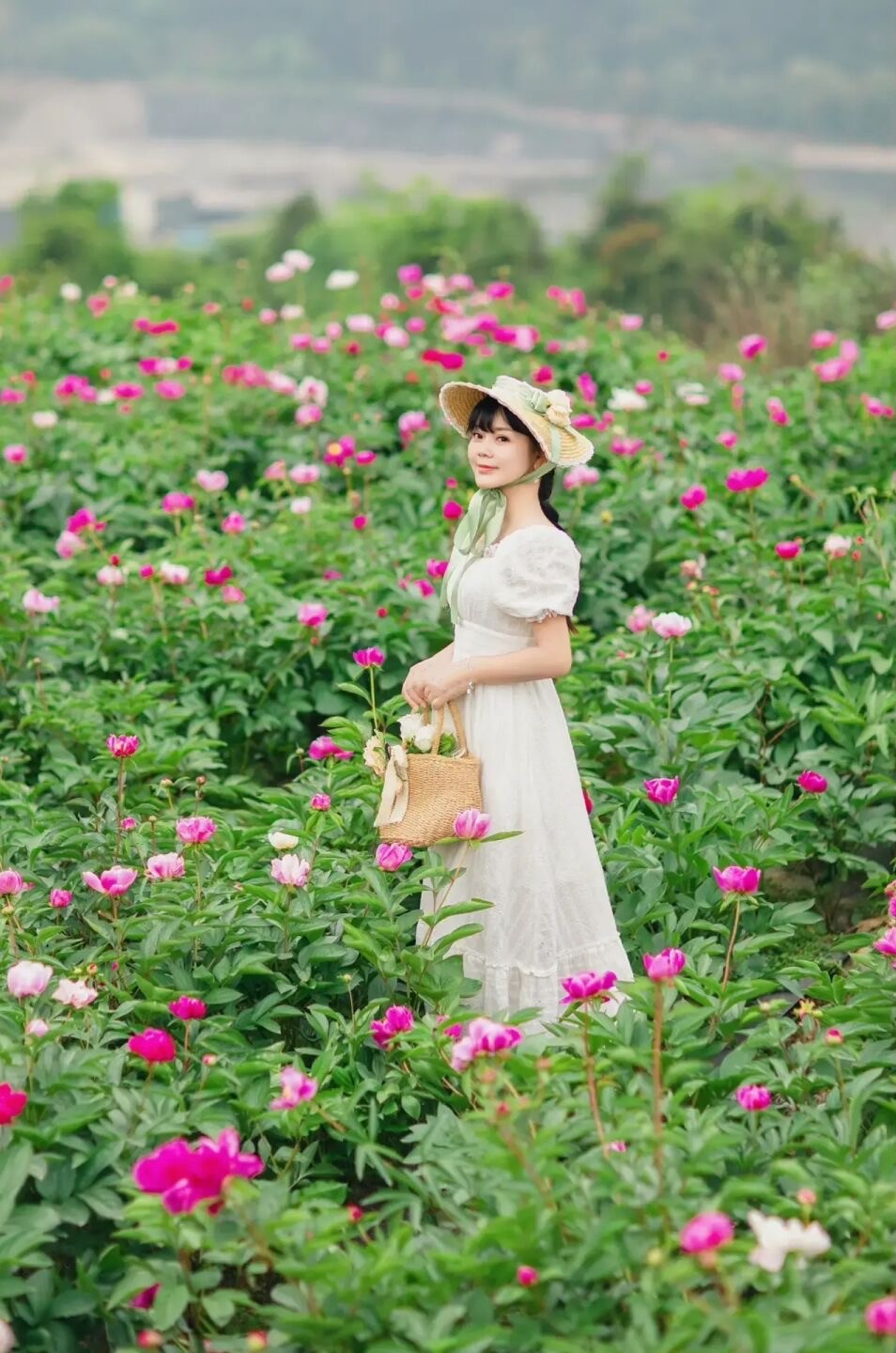 成都芍药花海景区,成都市内芍药花海