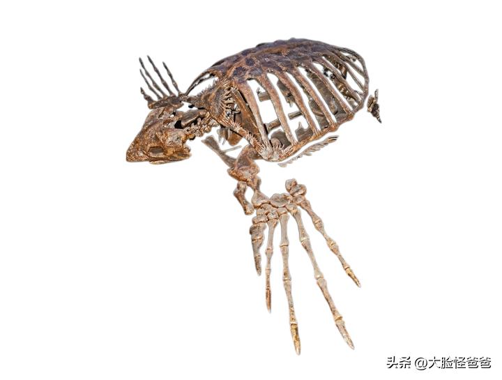 上古十大神奇的传说,真正的上古神话