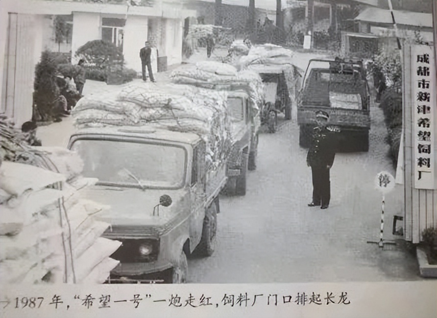 刘氏四兄弟创业史,四川刘氏兄弟怎么起家的