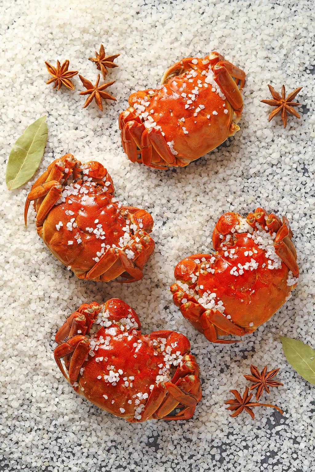 RR·LIFESTYLE|雅趣谈“蟹”