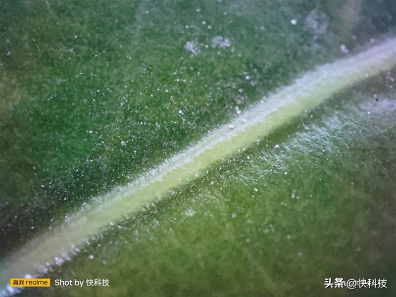 真我gtneo5se对比骁龙865,真我gtneo5se是第一代骁龙7+吗