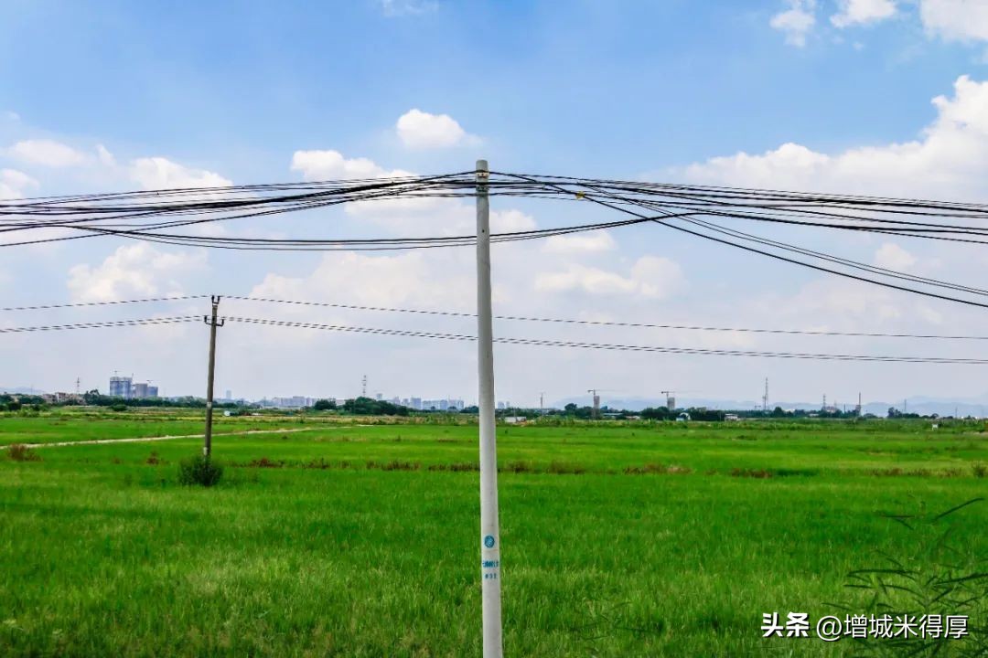 增城有什么自然风光和特产,增城著名的特色文化有哪些