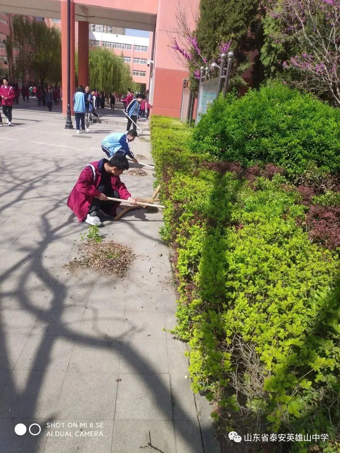 *光春**正好，砥砺前行——*安泰**英雄山中学高二级部3月份工作总结