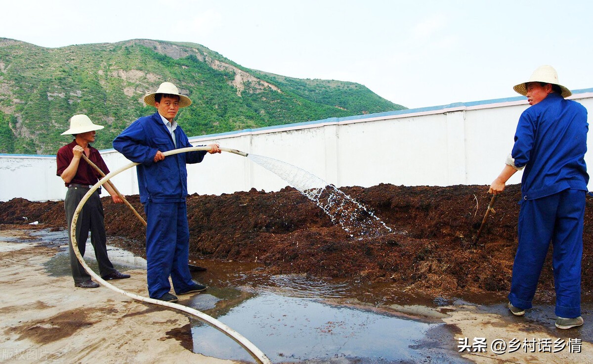 五个笨方法自制有机肥,自制有机肥最简单的方法