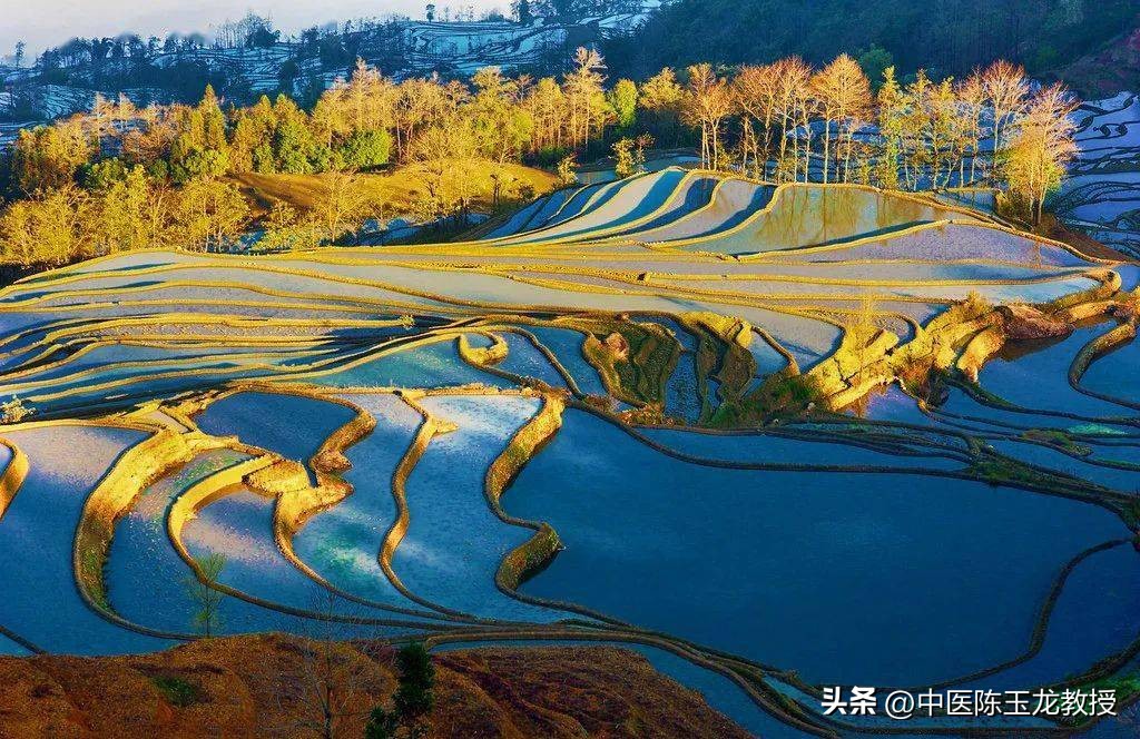 肾好百病消是真的吗,用什么中药泡水可以补肾阳