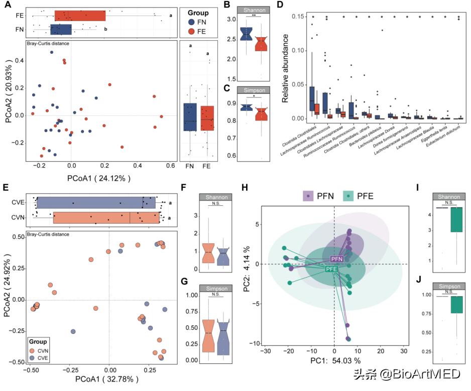 菌群异常会导致子宫内膜异位症吗,肠型子宫内膜异位症