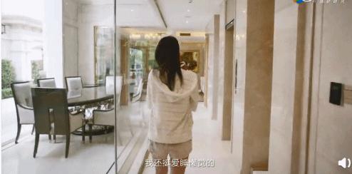 香港2亿豪宅装修,明星豪宅布局图