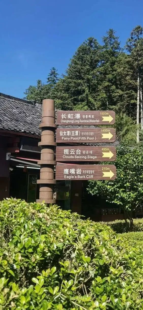 哈雷车主会福州分会,哈雷hog车主会八周年庆典巡游