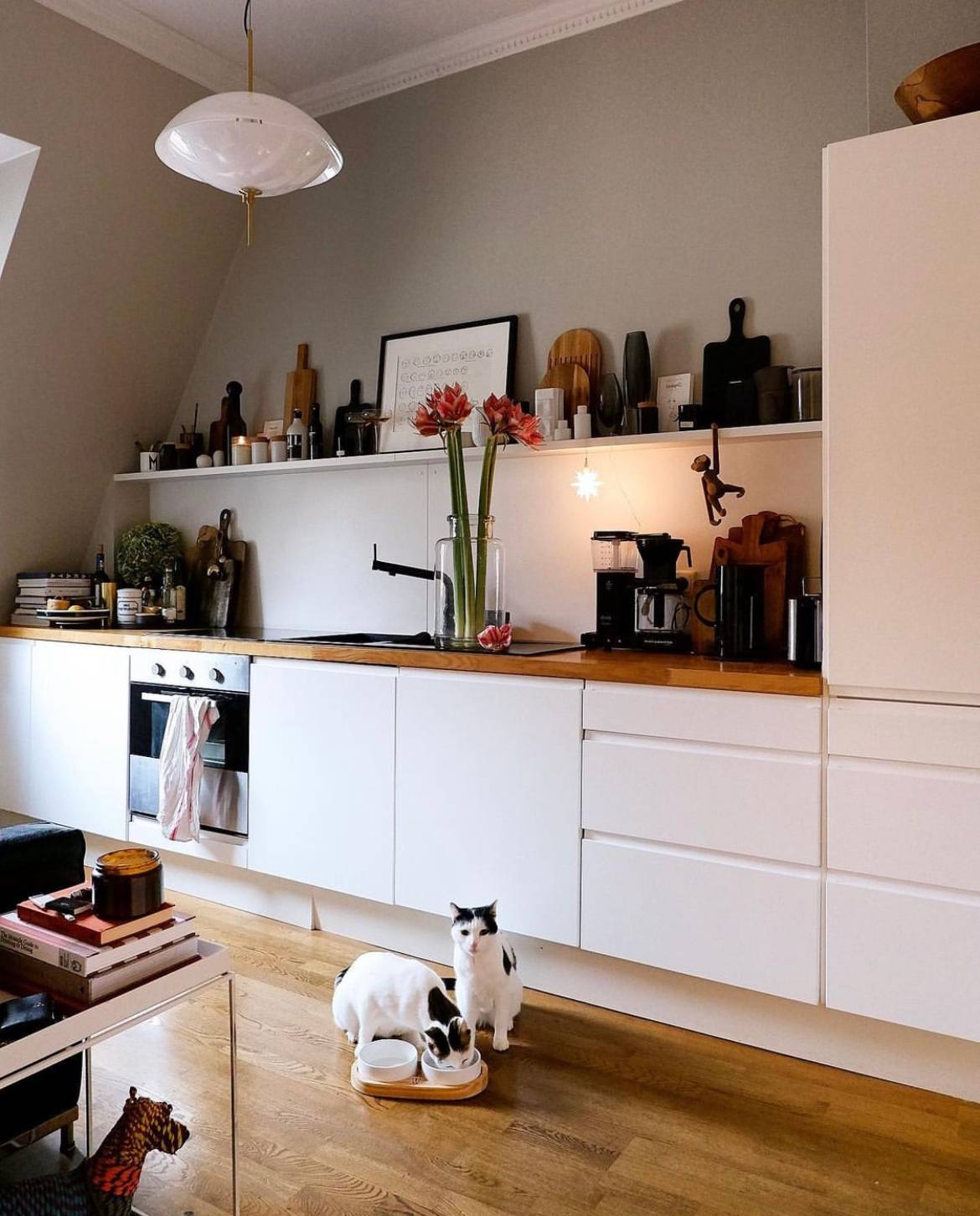 32岁德国牙医的家，整屋干净整洁且温暖，喜欢花和猫的生活很精致