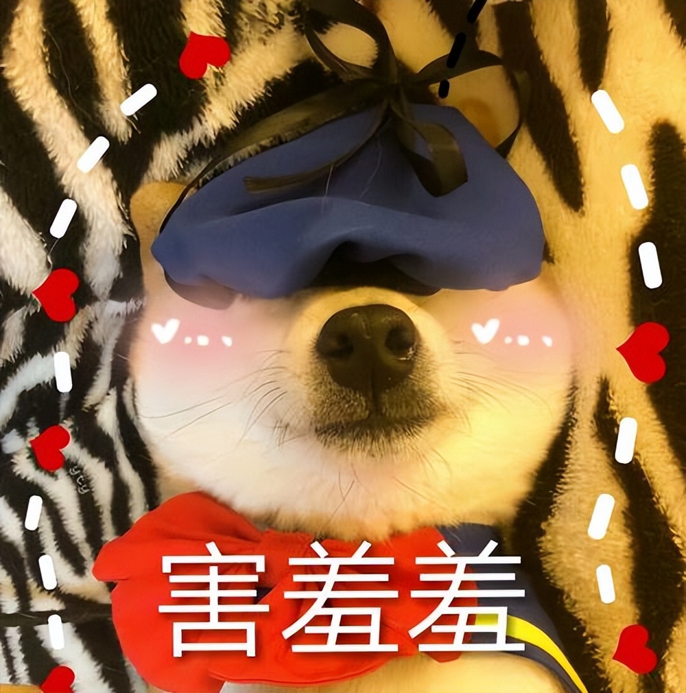 了解狗的“性”知识，别害羞，对狗狗有好处！