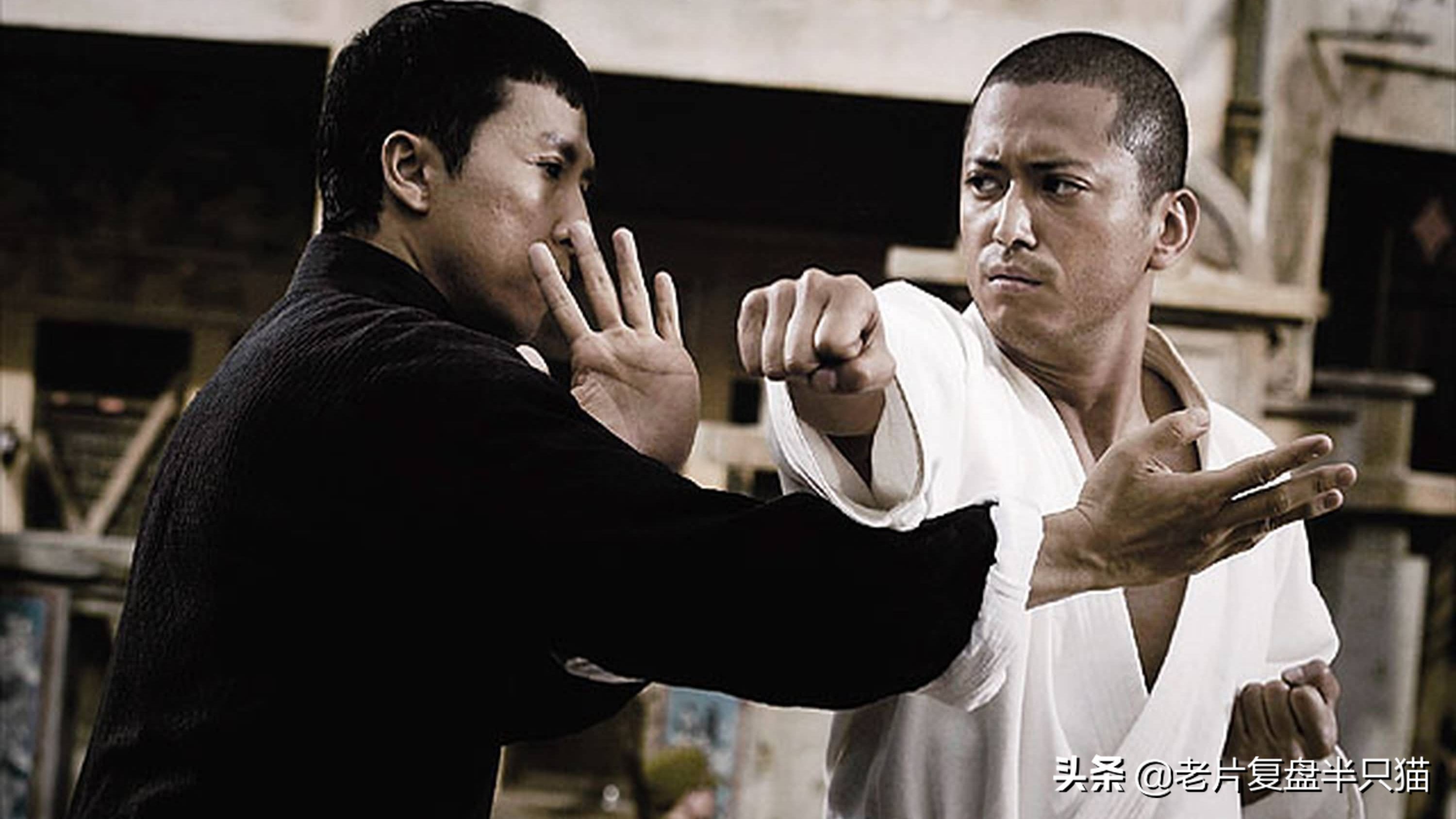 推荐几部甄子丹最能打的动作电影,甄子丹拍过三部巅峰时期动作片