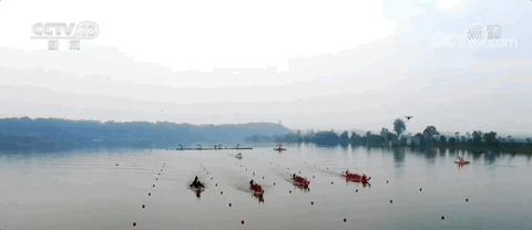 龙舟能盈利吗,龙舟发展情况