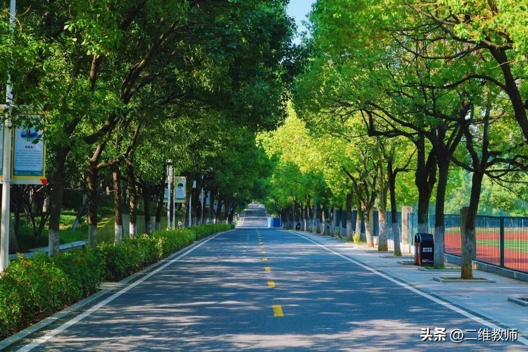 以中南命名的大学,中南有啥大学