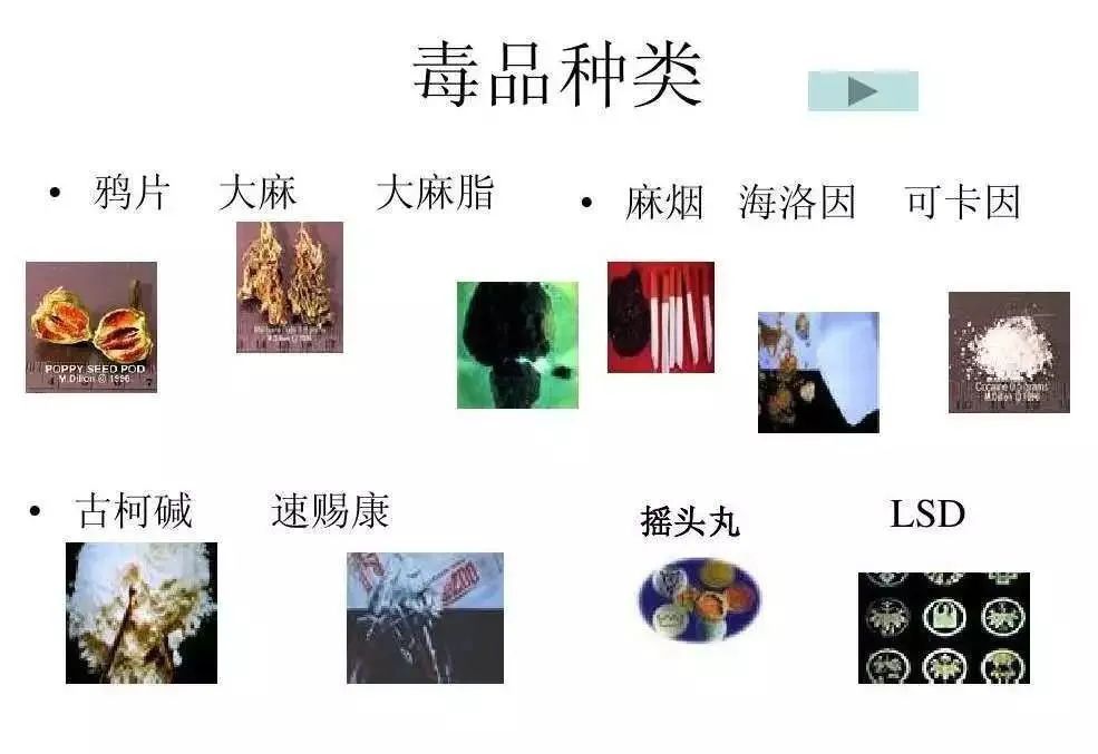 禁毒知识内容抄写,禁毒知识摘抄句子