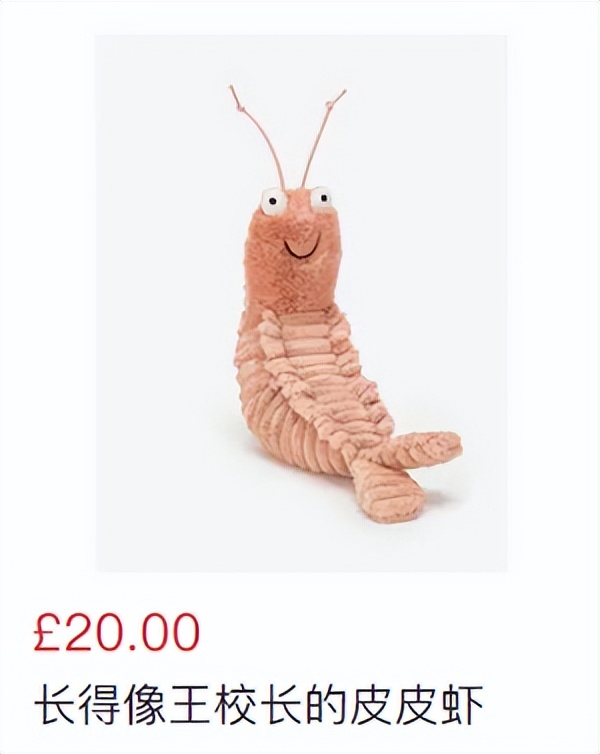 给jellycat海盗狗起名,jellycat全部款式