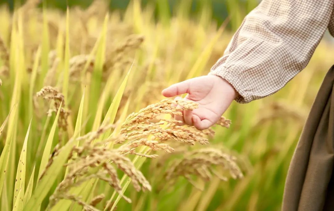 莫干山2000多一晚民宿,莫干山幽静民宿优惠