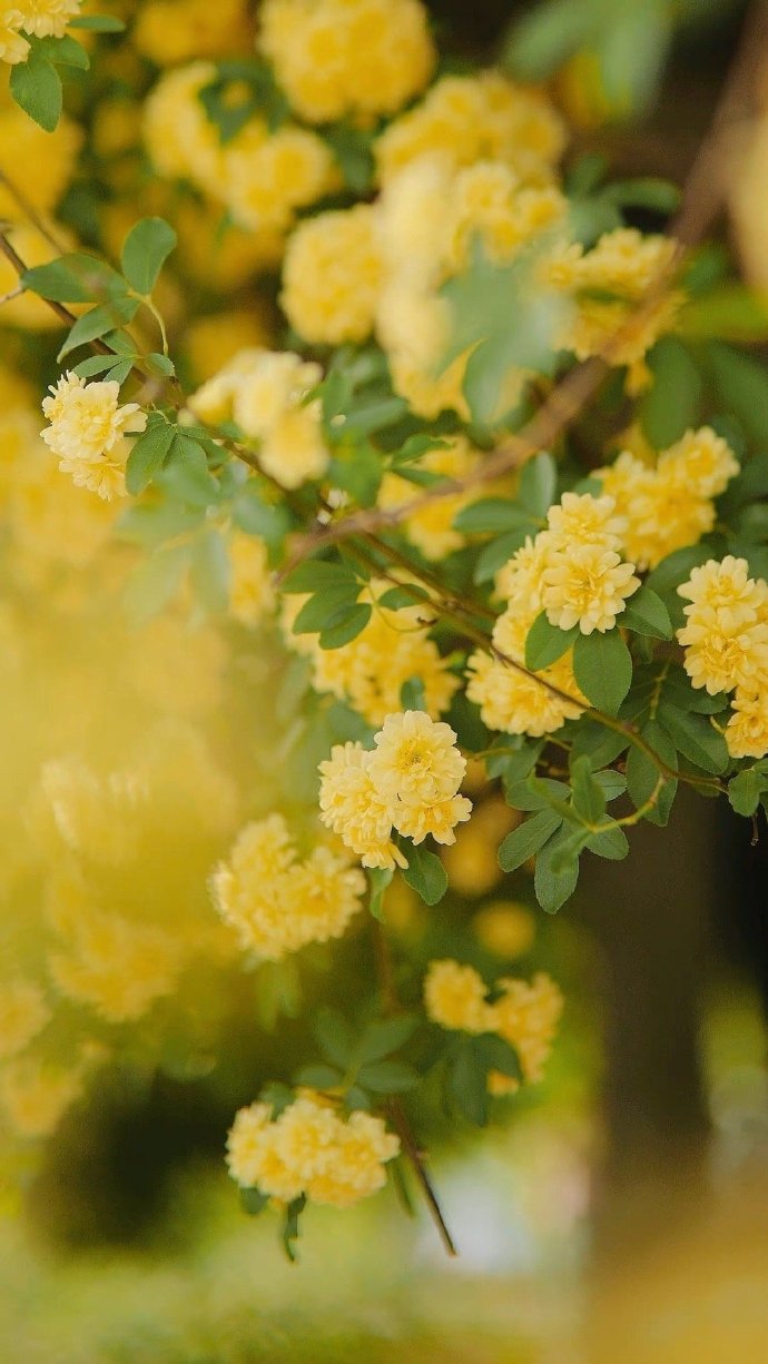 女人叫你哪些称呼说明爱上你了,女人这样称呼你说明有点喜欢你