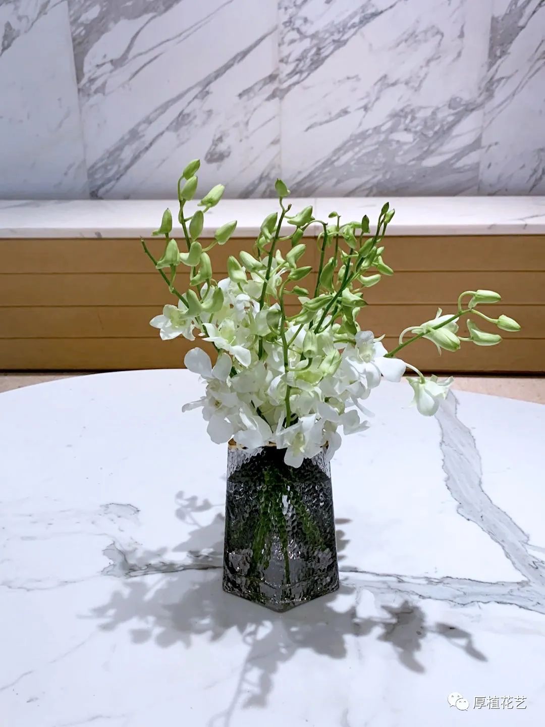 商务前台鲜花,前台花选择