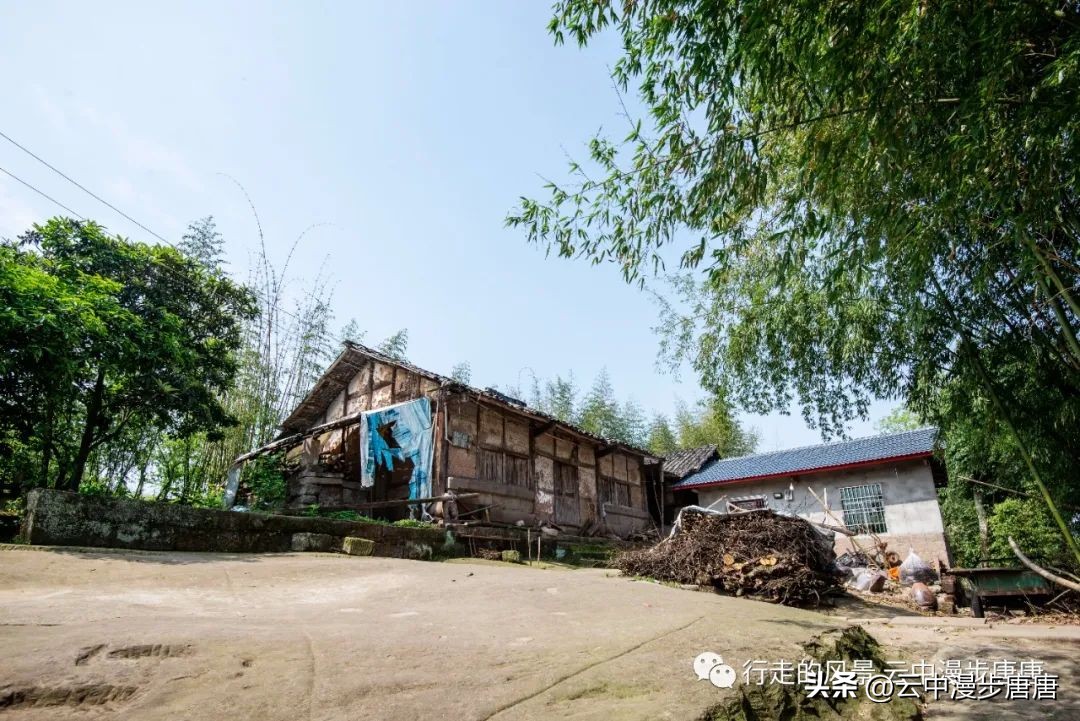 越江码头轮渡,越江轮渡在哪里