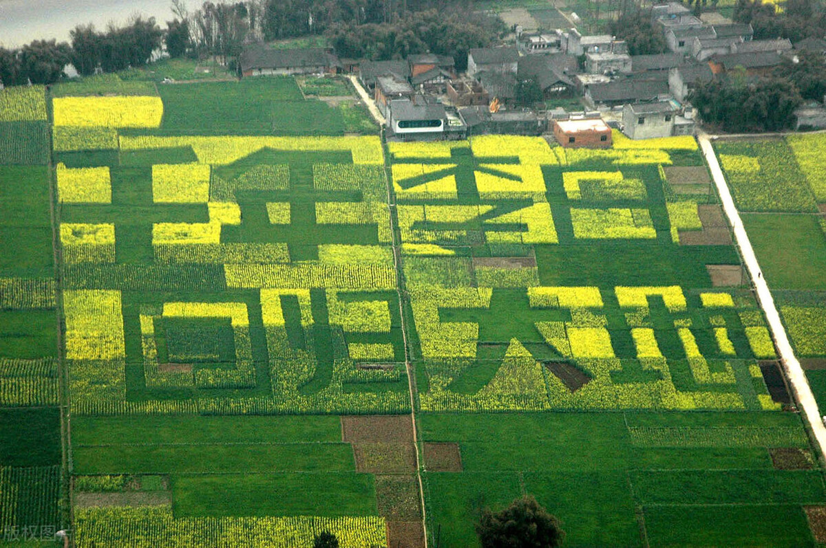 李白经典诗句及解析,李白经典诗词解读