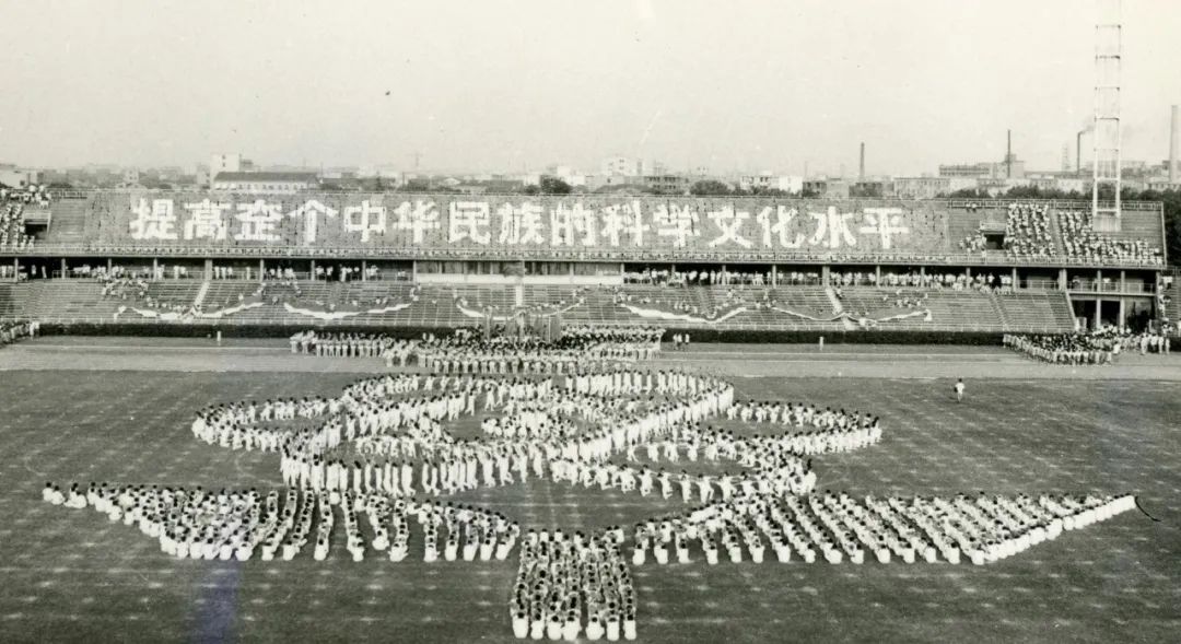 历年上海市运动会,涨知识的运动会