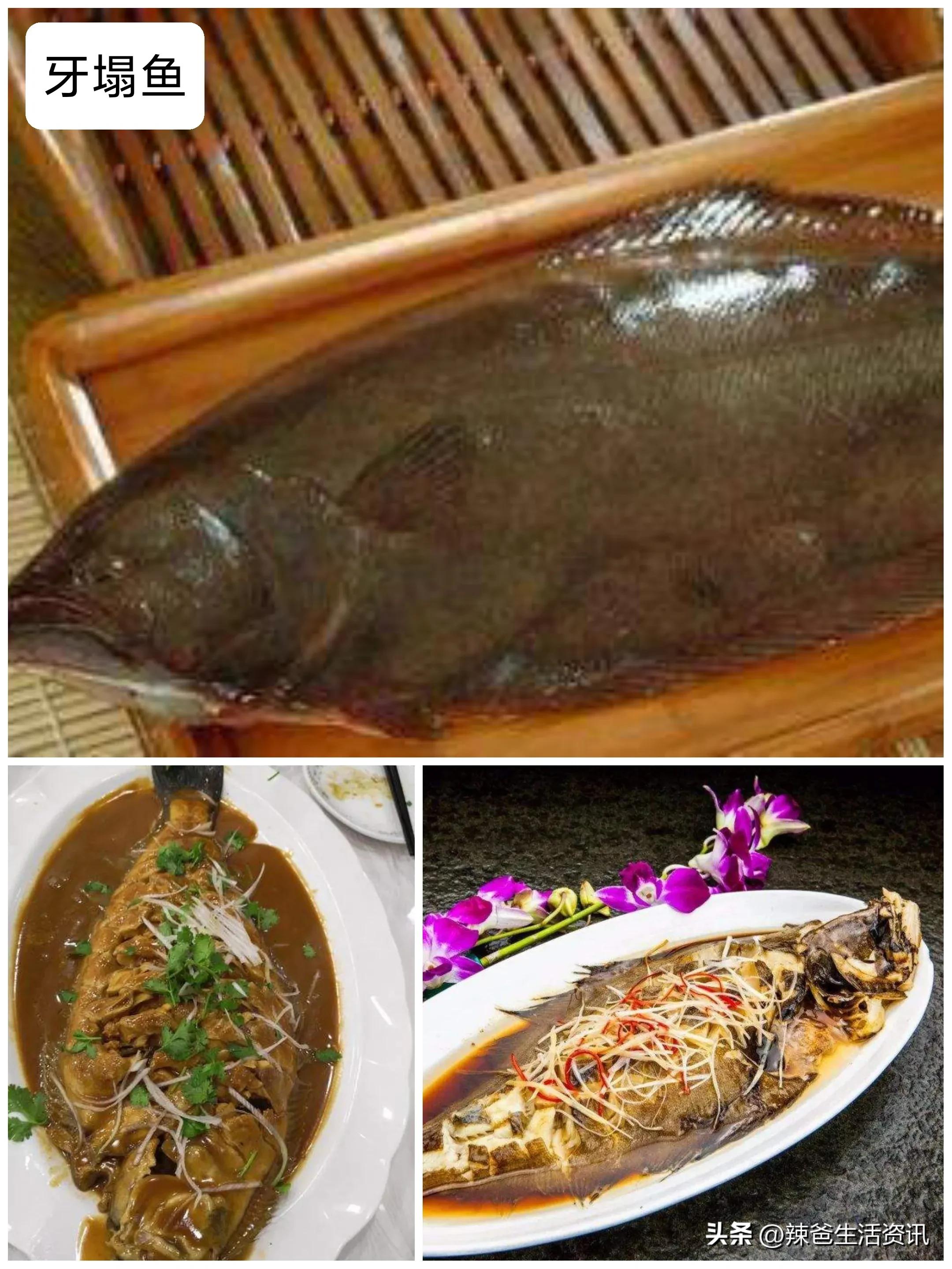 好吃不贵的野生海鱼,十种好吃不贵的正宗海鱼