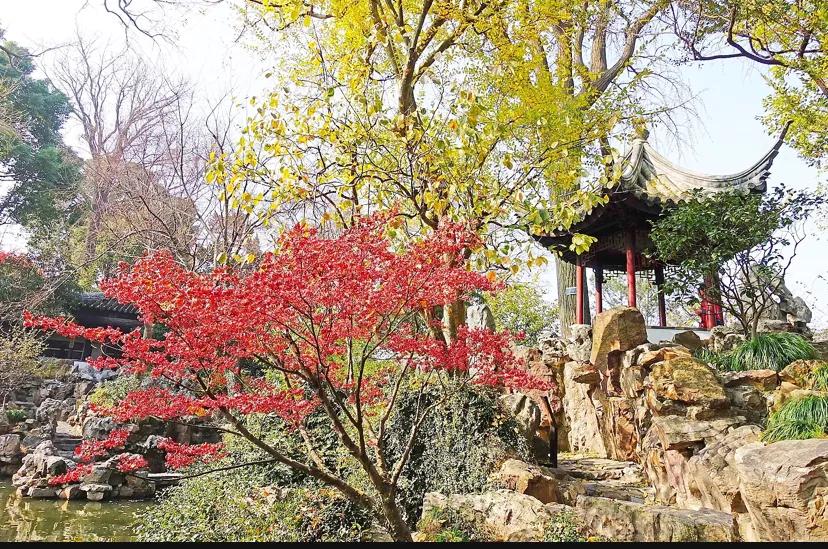 苏州古典园林世界文化遗产介绍,苏州古典园林世界文化遗产