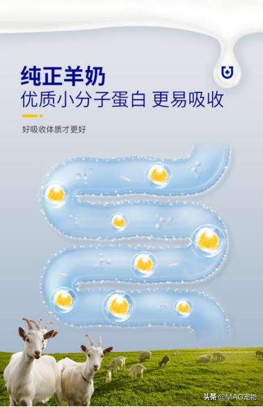 刚出生的小猫没有羊奶粉要喂什么,刚出生的小猫喂羊奶粉应该怎么喂