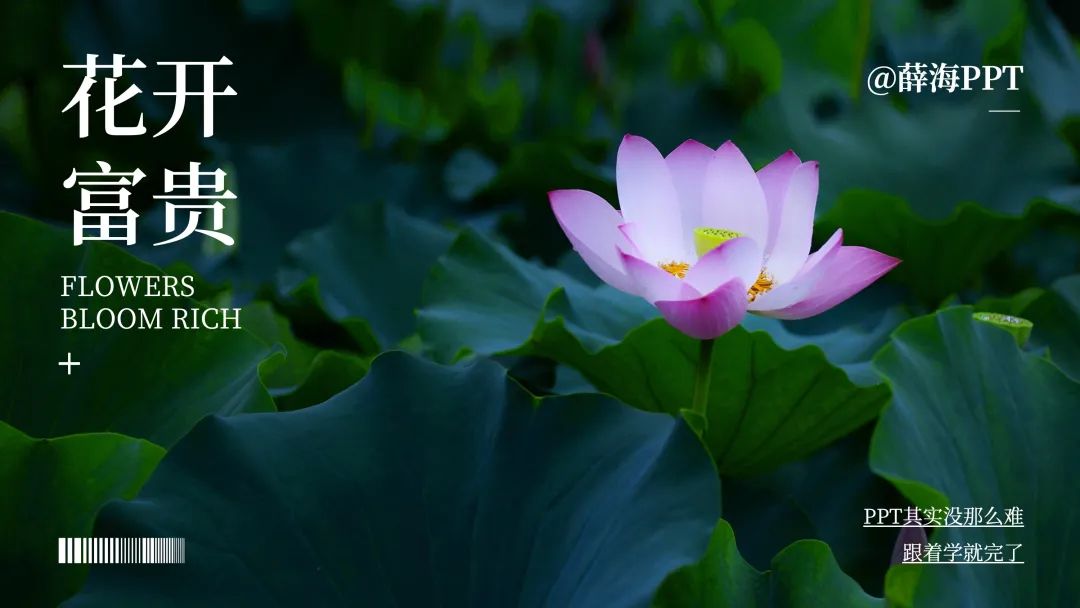 ppt中裁剪视频形状,ppt中裁剪图片大小快捷键