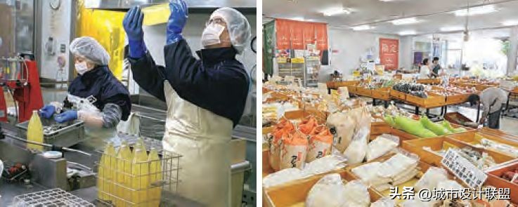 乡村振兴和乡村治理典型经验,乡村治理的发展与创新