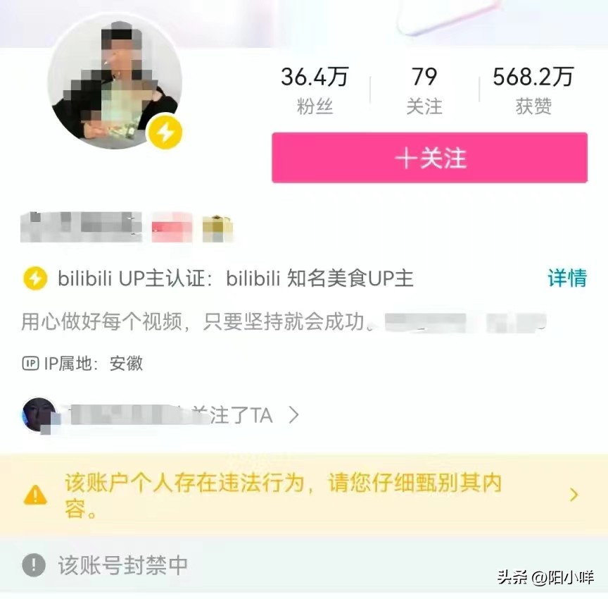 网红主播虐猫事件 (人民网评处刑式虐猫事件)