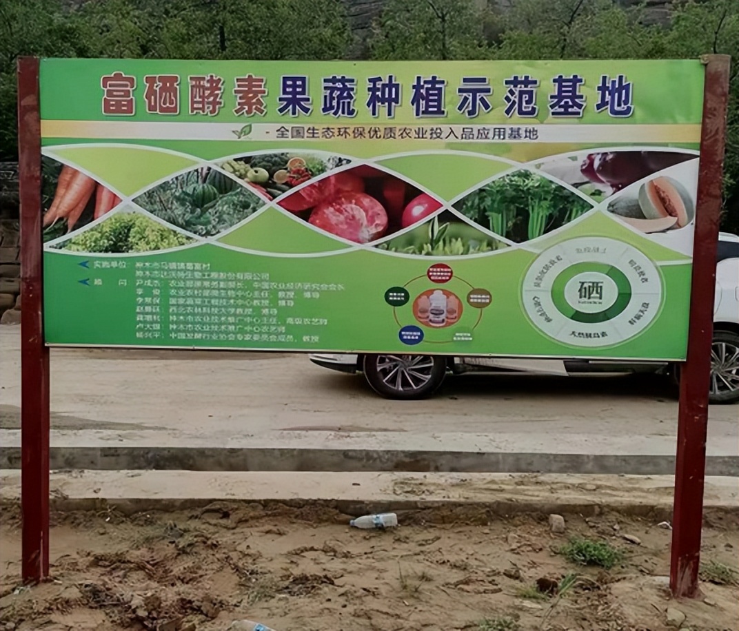 最火的果蔬酵素,富硒植物酵素的功效