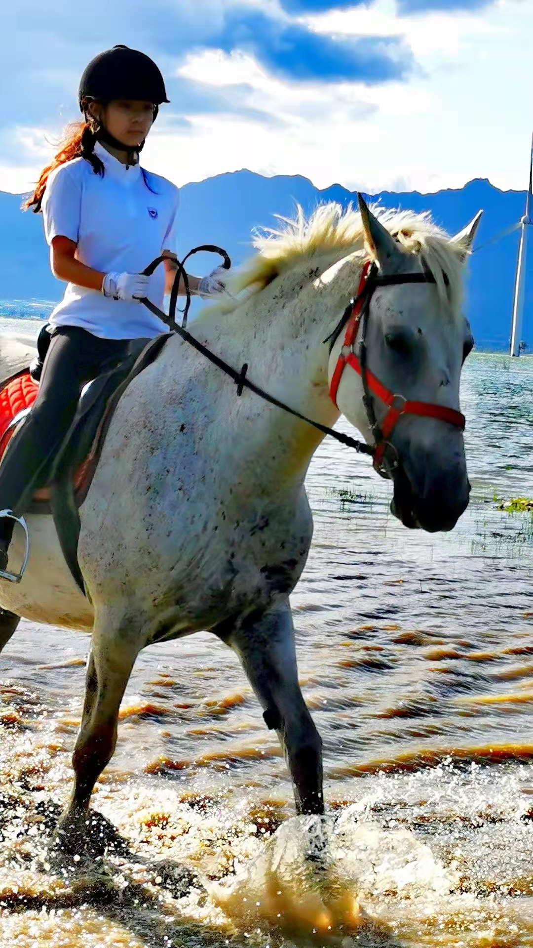 2023华杯赛夏令营,华誉外交官夏令营