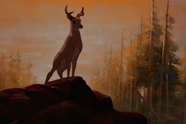 华人在好莱坞的另一条路,或许能更成功?