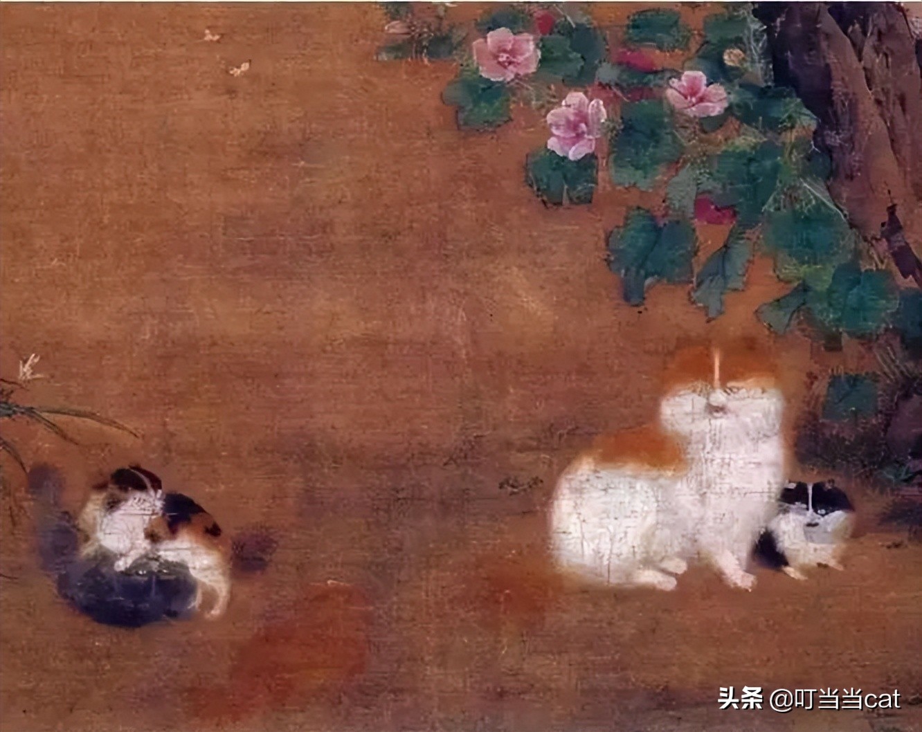 养猫是送的好还是买的好 (养猫不能买什么年花)