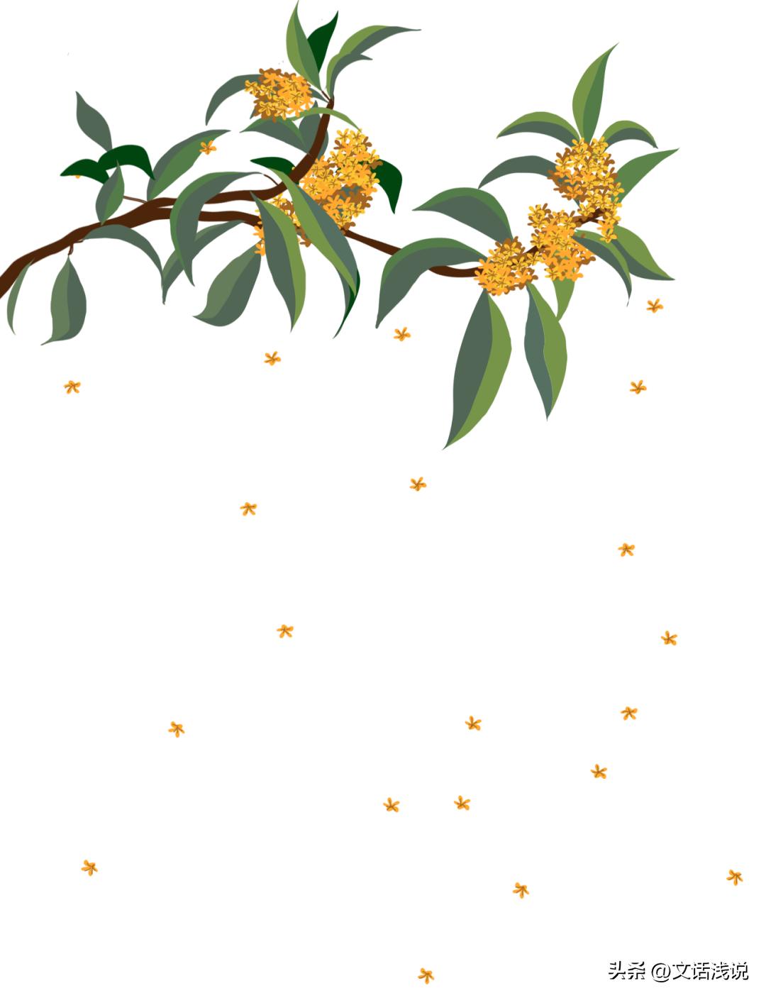 江苏秋天必吃的桂花美食,十月桂花香这些桂花美食你吃过吗