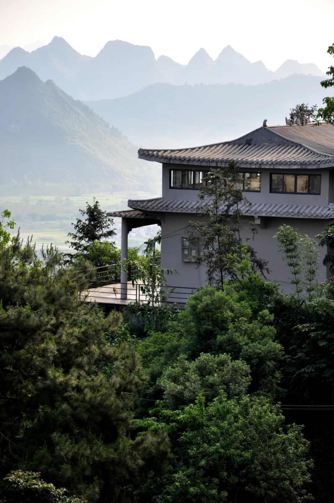 猫咪走太空步原视频最火,猫咪壁虎漫步视频