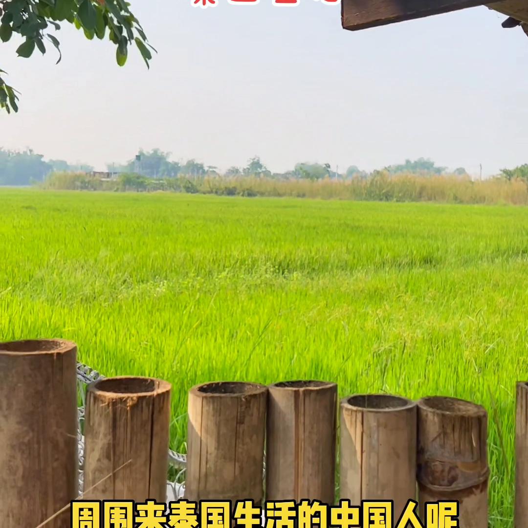 简单的来说，泰国适合那些对现状不满，觉得活的有点累的人...