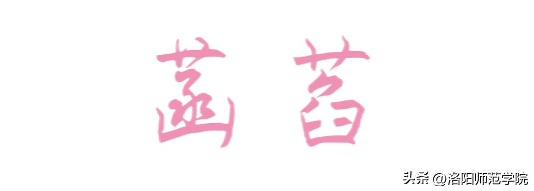 当洛师邂逅43种中国传统色……