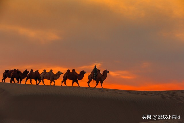 世界五大沙漠,五大沙漠