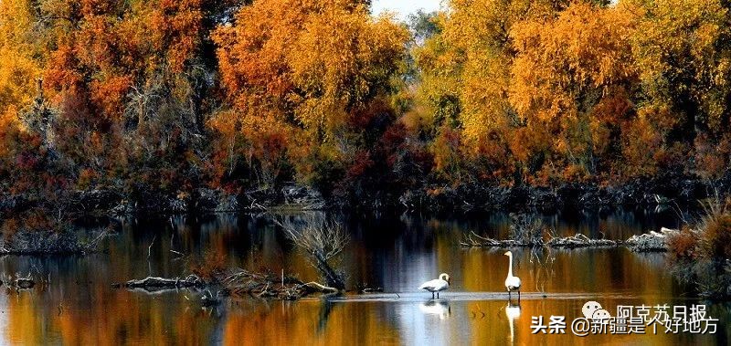 阿克苏自由行攻略大全,阿克苏自驾游攻略最佳路线